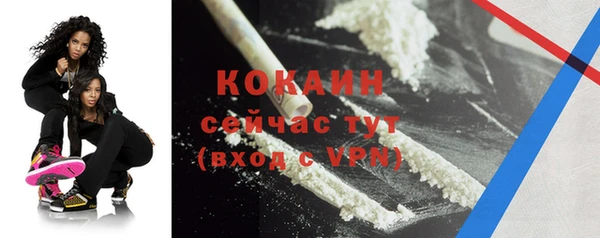 стаф Баксан