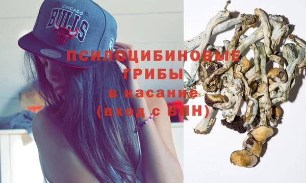 стаф Баксан
