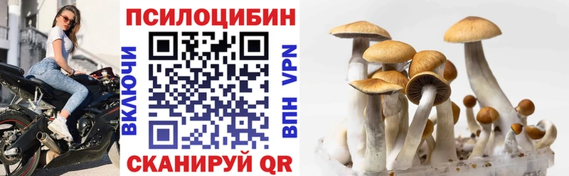 где найти   Горняк  Псилоцибиновые грибы мухоморы 
